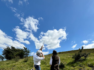 Fast High Flyers Review Image