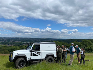 Fast High Flyers Review Image